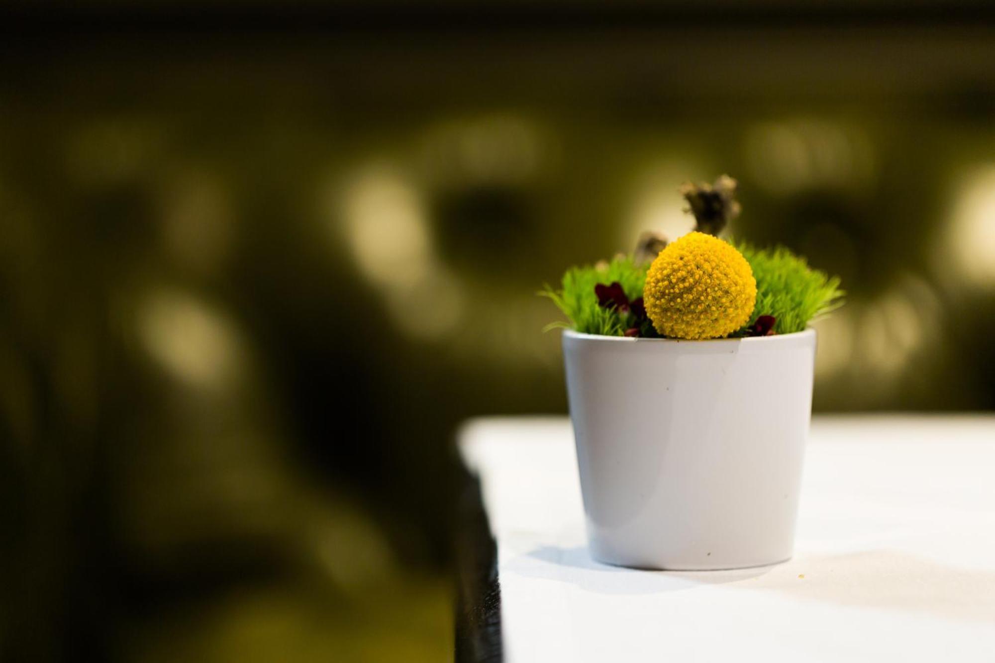 La Cour Des Consuls Hotel And Spa Toulouse - Mgallery Экстерьер фото